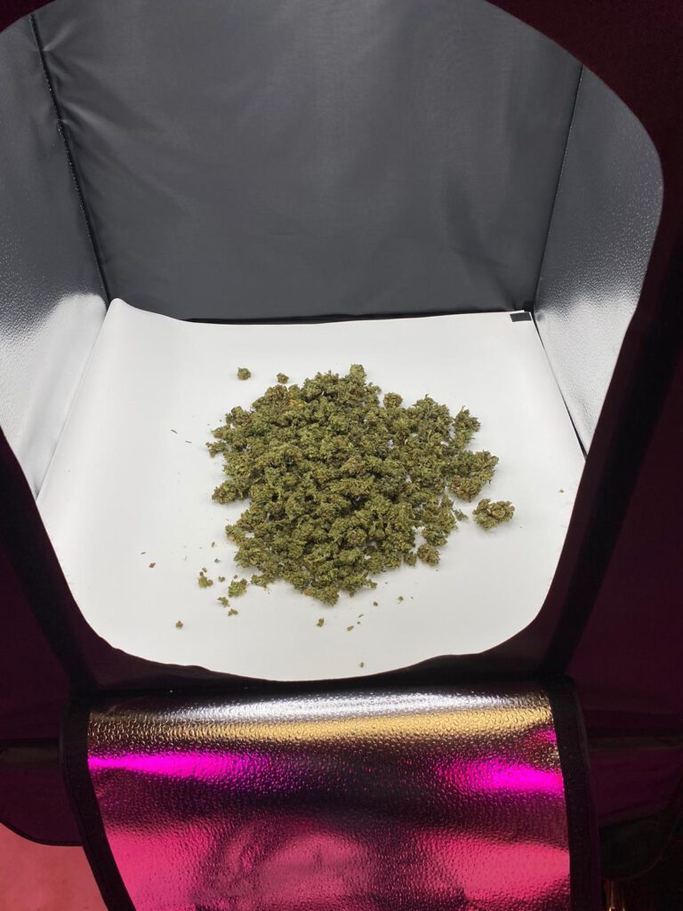 Smart Greenery CBD Bluete
