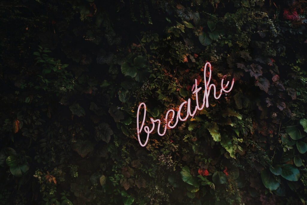 Achtsamkeit, Selbsterkenntnis, Einsamkeit, Angst, CBD, Meditation, Fokus, Konzentration, Ruhe, Cannabidiol. Einsam sein müssen, ist schwer. Achtsam sein können, ist die hohe Kunst, die uns am Ende mit mehr Leichtigkeit durchs Leben führt.